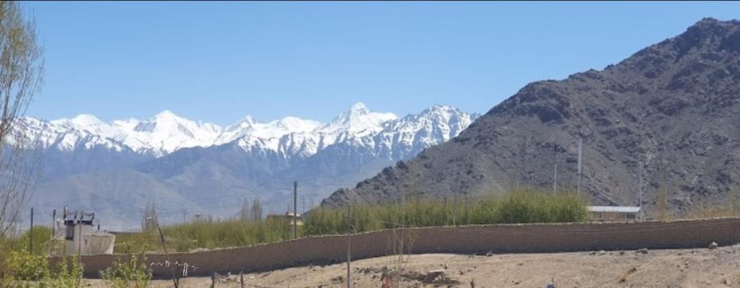 Ladakh Odyssey Hotel Leh Exterior photo